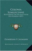 Colonia Sumlocenne: Rottenburg Am Neckar Unter Den Romern (1857)(German)