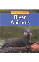 River Animals
