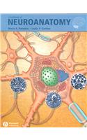 Textbook of Neuroanatomy