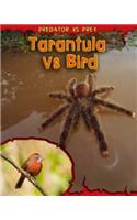 Tarantula vs Bird: (Predator vs. Prey)