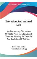 Evolution And Animal Life