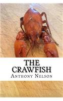 The Crawfish