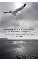 Seagull Scripture Series Bulletin (Pkg of 50)