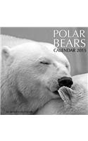 Polar Bears Calendar 2015: 16 Month Calendar