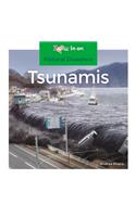 Tsunamis