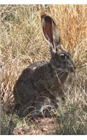 The Desert Jackrabbit Journal: 150 page lined notebook/diary