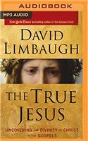 The True Jesus: Uncovering the Divinity of Christ in the Gospels