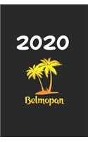 Daily Planner And Appointment Calendar 2143: Belmopan City Country Daily Planner And Appointment Calendar For 2020 With 366 White Pages