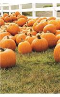 Autumn Pumpkin Patch Harvest Journal