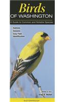 Birds of Washington