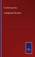 Voyage down the Amoor