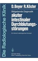 Bildgebende Diagnostik Akuter Intestinaler Durchblutungsstörungen