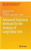 Advanced Statistical Methods for the Analysis of Large Data-Sets
