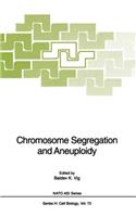 Chromosome Segregation and Aneuploidy