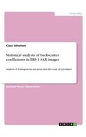 Statistical analysis of backscatter coefficients in ERS-1 SAR images: Analysis of homogeneous sea areas near the coast of Greenland