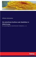 Die winterfesten Koniferen oder Nadelhölzer in Mittel-Europa