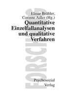 Quantitative Einzelfallanalysen und qualitative Verfahren