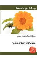 Pelargonium Vitifolium