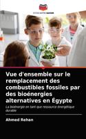 Vue d'ensemble sur le remplacement des combustibles fossiles par des bioénergies alternatives en Égypte