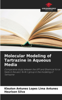Molecular Modeling of Tartrazine in Aqueous Media