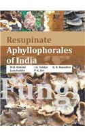 Resupinate Aphyllophorales of India