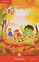 Greenman and the Magic Forest B Flashcards (Pack of 48)