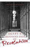 Egypt's Thousand Days of Revolution