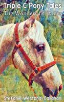 Triple C Pony Tales: The Wonders Of Willie(Triple C Pony Tales)