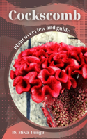 Cockscomb: Plant overview and guide
