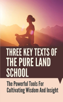 Three Key Texts Of The Pure Land School: The Powerful Tools For Cultivating Wisdom And Insight: Pure Land Practice