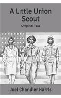 A Little Union Scout