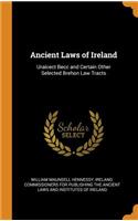 Ancient Laws of Ireland: Uraicect Becc and Certain Other Selected Brehon Law Tracts