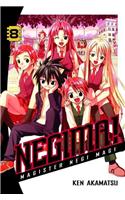 Negima!, Volume 8