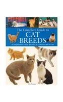 Complete Guide: Cat Breeds