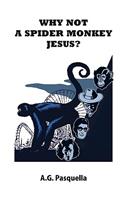 Why Not A Spider Monkey Jesus?