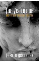 Visitation and Other Biblical Poetry