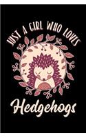 Just a Girl Who Loves Hedgehogs