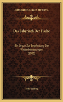 Das Labyrinth Der Fische: Ein Organ Zur Empfindung Der Wasserbewegungen (1903)