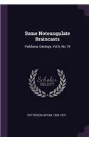 Some Notoungulate Braincasts