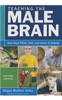 Teaching the Male Brain