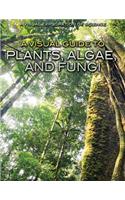 A Visual Guide to Plants, Algae, and Fungi: (Visual Exploration of Science)