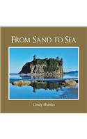 From Sand to Sea