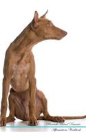 Pharaoh Hound Affirmations Workbook Pharaoh Hound Presents: Positive and Loving Affirmations Workbook. Includes: Mentoring Questions, Guidance, Supporting You.