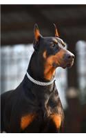 Handsome Doberman Dog Portrait Journal: 150 Page Lined Notebook/Diary