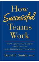 How Successful Teams Work