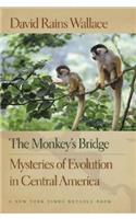 Monkey's Bridge