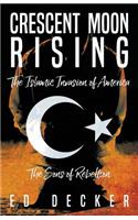 Crescent Moon Rising