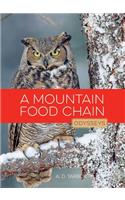 A Mountain Food Chain