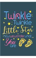 Twinkle twinkle little start how we wonder what you are: Gender Reveal Notebook-College Blank Lined 6 x 9 inch 110 pages - Gender Reveal Journal for Writing-Gender Reveal Lovers Notebook for Mom and Dad-Gi