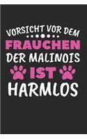 Vorsicht Vor Dem Frauchen Der Malinois Ist Harmlos
